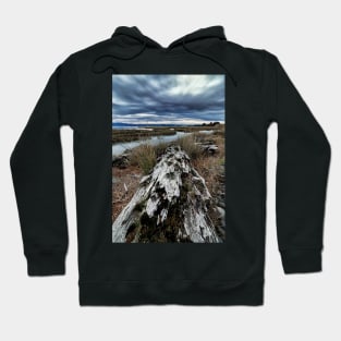 Log Ride Hoodie